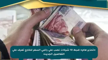 «تحذير هام» ضبط 10 شركات نصب على راغبي السفر للخارج تعرف على التفاصيل الجديدة